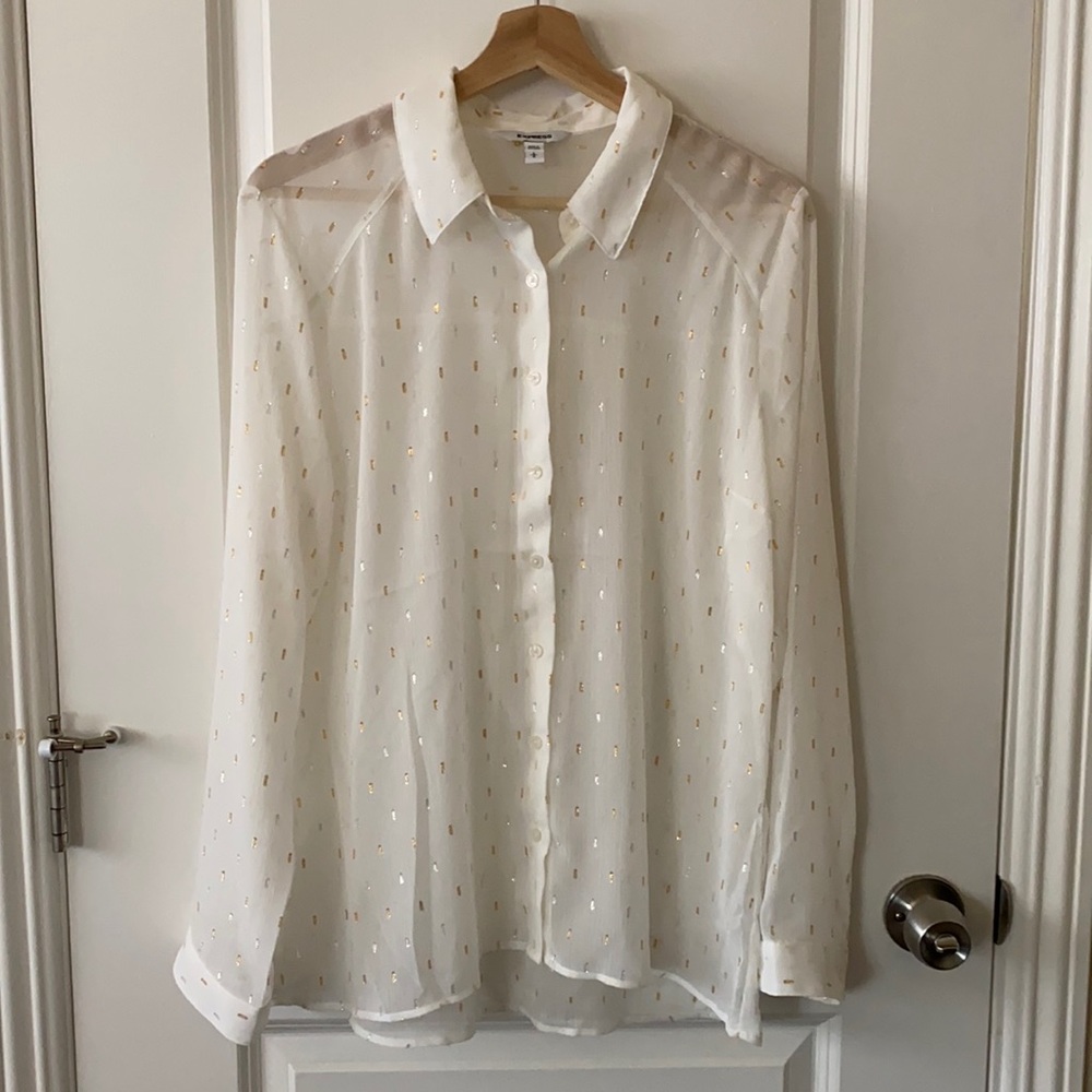 Express Long Sleeve Button Down